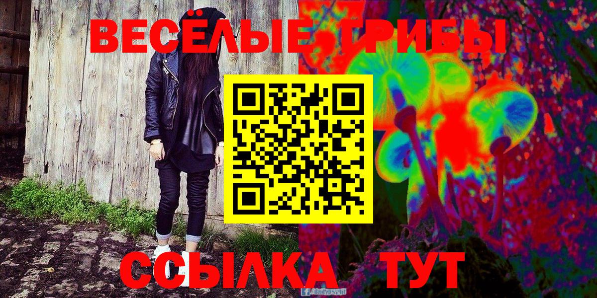 Галлюциногенные грибы Psilocybe Коркино